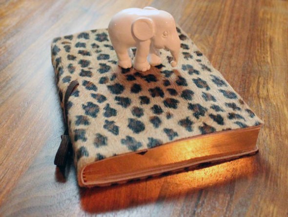 Leopard diary for 2013